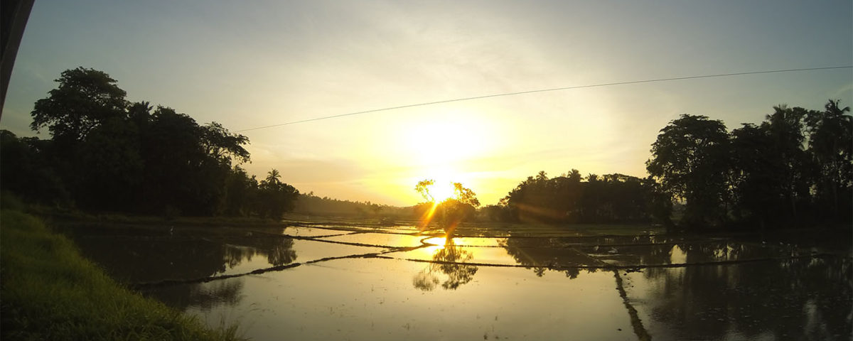 Srí Lanka dovolená TravelNative