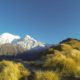 Nepál - Mardi Himal Trek TravelNative